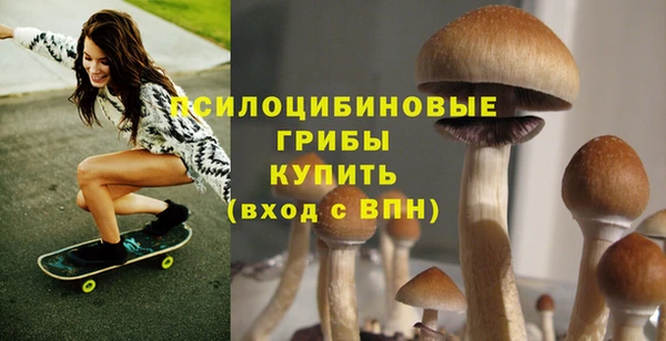 прущие грибы Верхнеуральск
